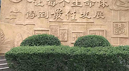 【景觀雕塑廠家】制作，多少錢(qián)，價(jià)格